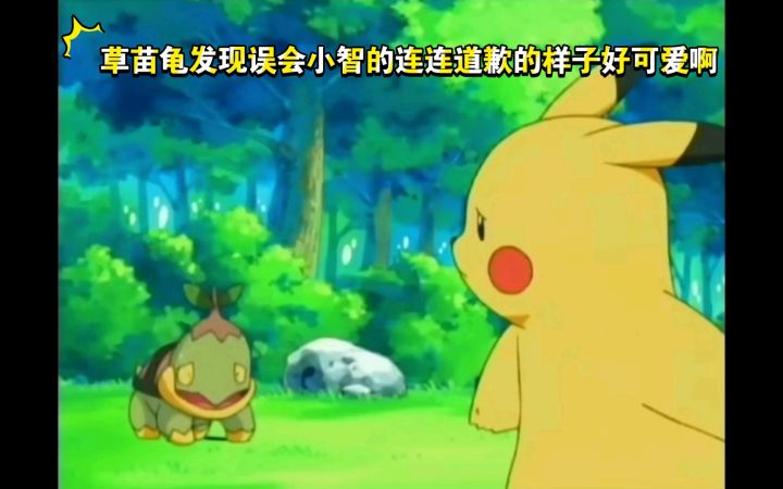 精灵宝可梦 草苗龟发现误会小智的连连道歉的样子好可爱啊截图