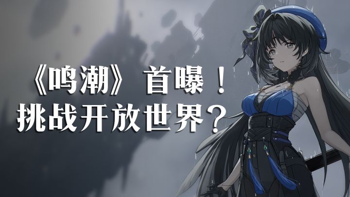 库洛新游《鸣潮》首次曝光 剑指二次元开放世界?截图