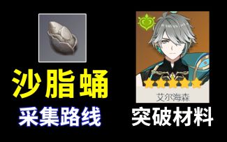 艾尔海森 材料，沙脂蛹 采集路线！持续更新ing