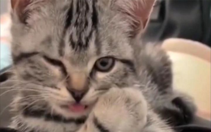 《猛男阵亡,仅需一眼》截图