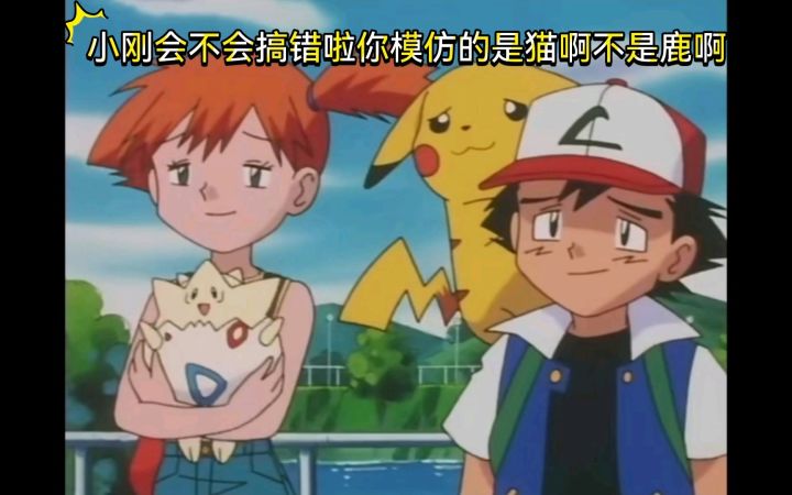 精灵宝可梦 小刚会不会搞错啦你模仿的是猫啊不是鹿啊截图