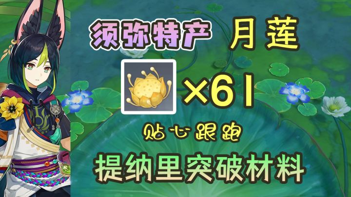 【原神】提纳里突破材料月莲跟跑路线~61个月莲拿好(3.0须弥区域特产)截图
