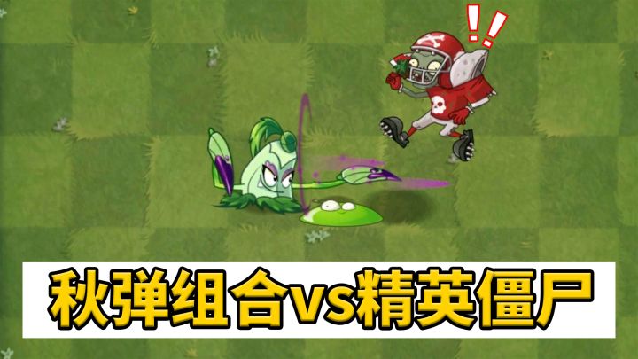 植物大战僵尸:秋弹组合vs精英僵尸!截图