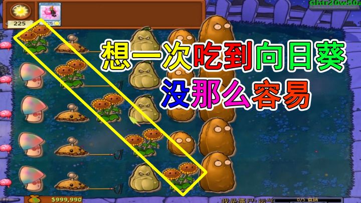 植物大战僵尸Ghtr:只有一次机会,务必吃到向日葵截图