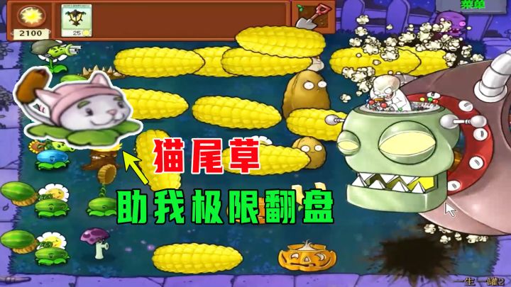 植物大战僵尸:一生一罐2(下),快要裂开了,小猫助我极限翻盘截图