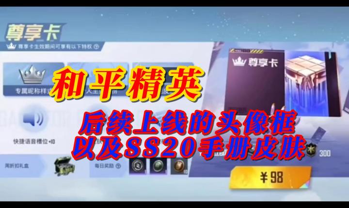 和平精英后续上线的物品截图