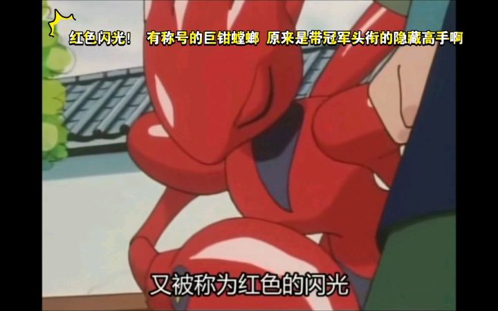 精灵宝可梦 红色闪光! 有称号的巨钳螳螂 原来是带冠军头衔的隐藏高手啊截图