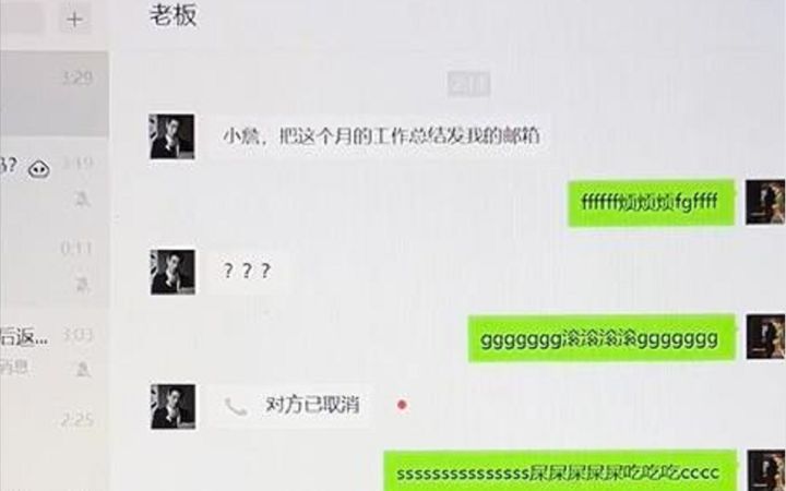 救命！小猫把我搞失业了截图