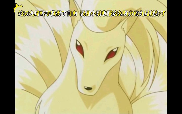 精灵宝可梦 这只九尾终于获得了自由 要是小刚收服这么强力的九尾就好了截图
