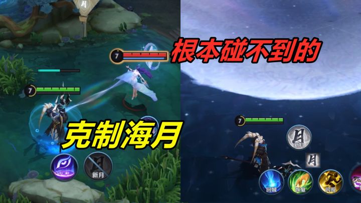 小杨揭秘：完美克制海月，无伤走出幻境领域，有大乔配合才可以截图