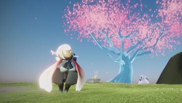 花绽如期，与你相约