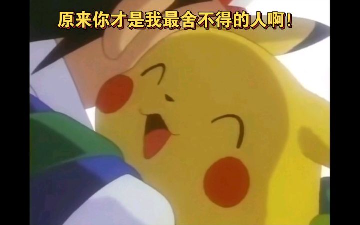 精灵宝可梦 最令人感动的拥抱 原来你才是我最舍不得的人啊截图