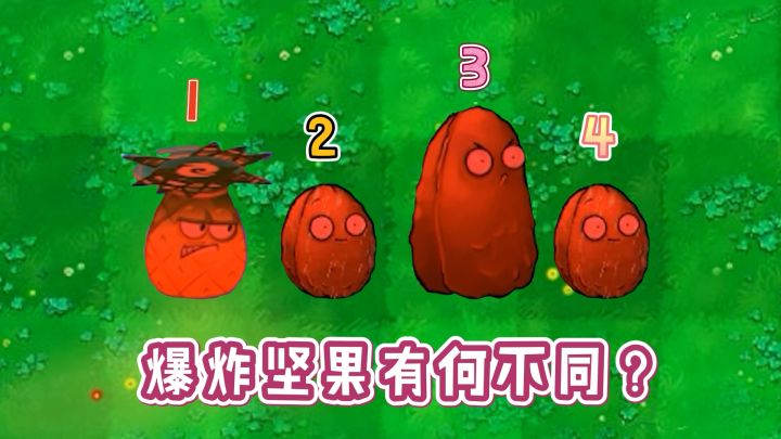 植物大战僵尸:同样是爆炸坚果,区别到底有多大?截图