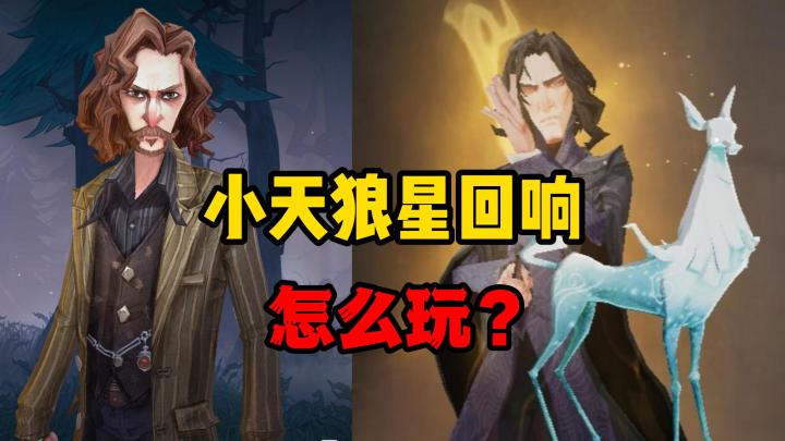 哈利波特：全新回响【小天狼星】玩法解析及攻略！截图