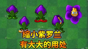 pvz2：缩小紫罗兰知多少？