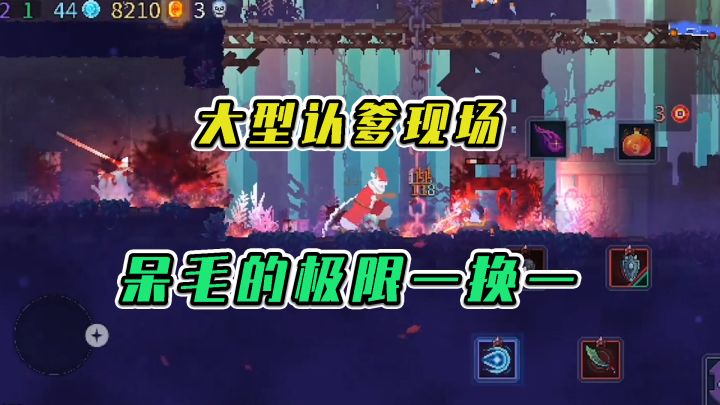 重生细胞:大型认爹现场,呆毛的极限一换一截图