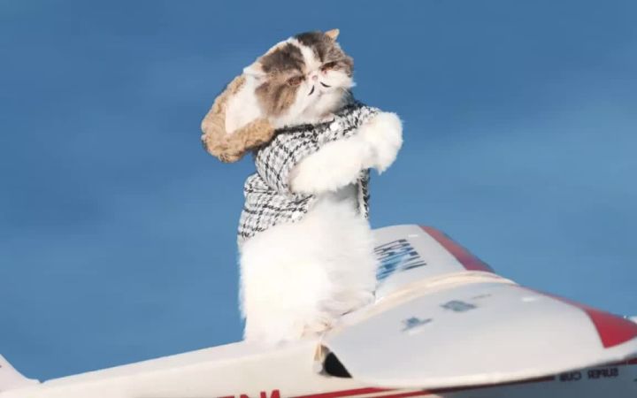 【邻家女孩】小猫咪能否拿下截图