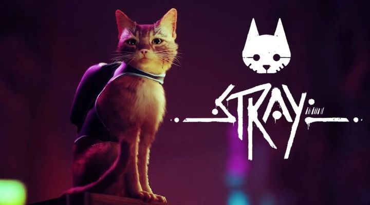 《stray》第三猫称冒险游戏大结局片段截图