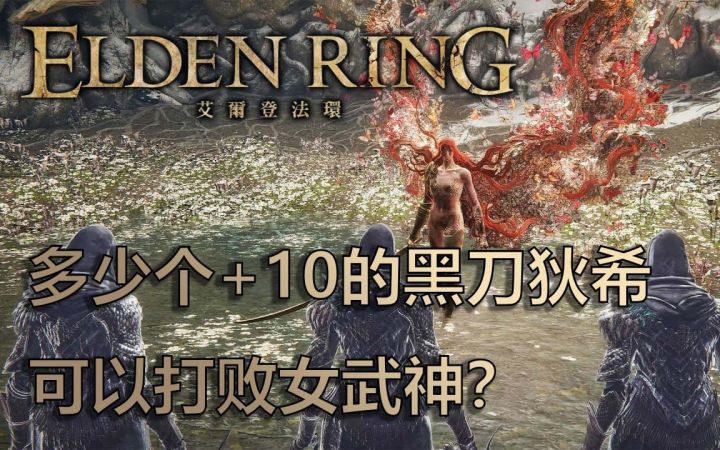 [转载] 多少个+10的黑刀狄希可以打败女武神？截图