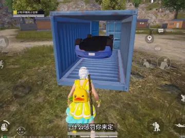 叶某人,我这个新款特斯拉你是不可能偷走的#全网挑战叶某人 @叶晗(表哥)截图