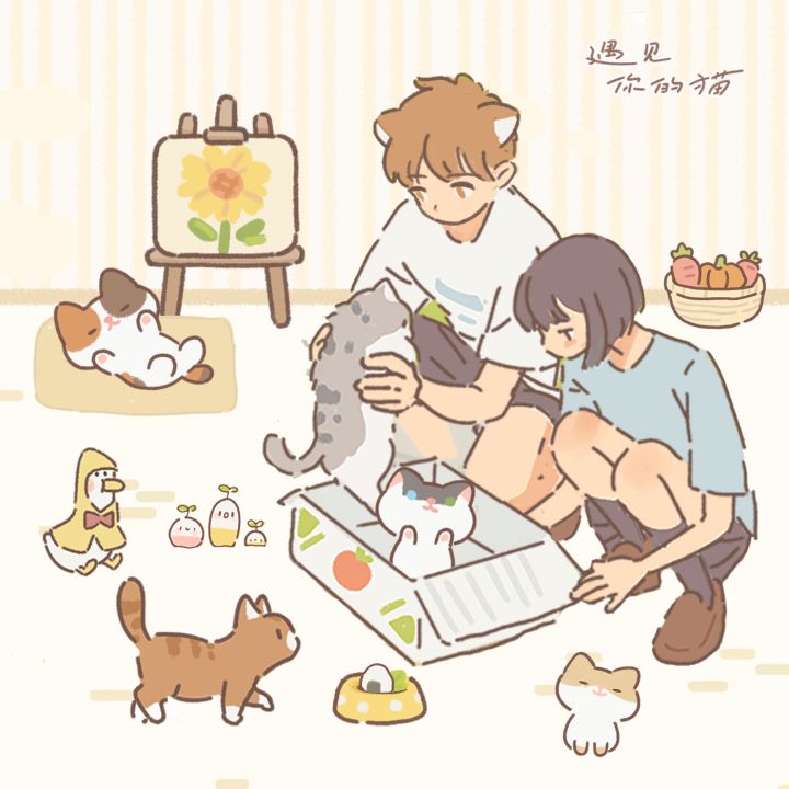 遇见你的猫截图
