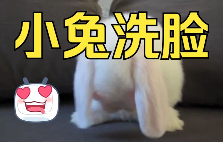 可爱的兔子宝宝在洗脸截图