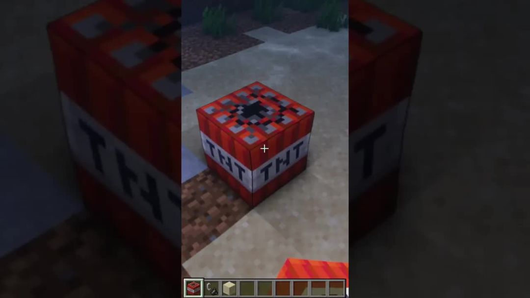video-3012319