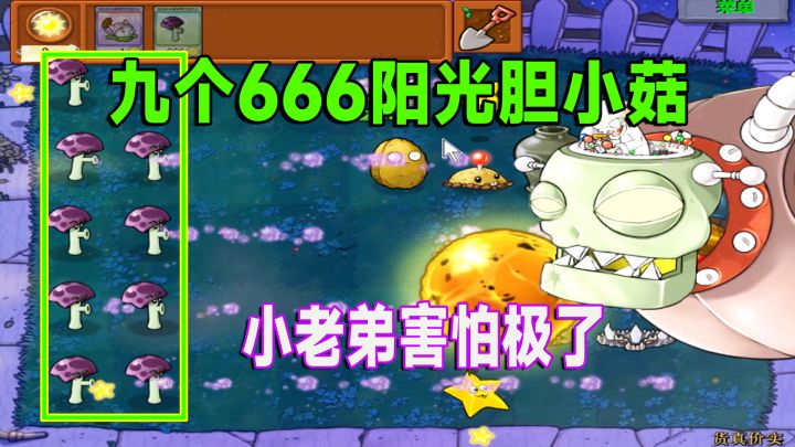 植物大战僵尸:一炸炸出八个胆小菇,僵王当场就懵了截图