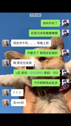 韩信乱杀不是有手就行截图