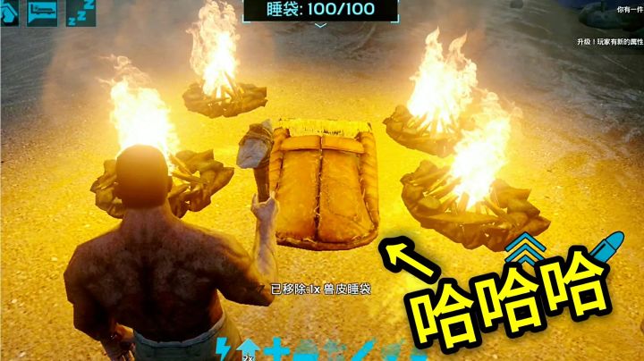 小新哥:我当野人的第2天,脑洞大开,做4个篝火,恐龙都不敢来了截图