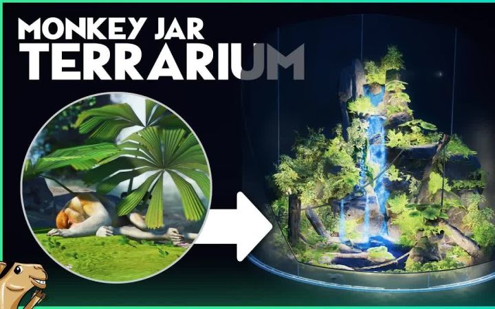 【搬运】动物园之星 Monkeys in a DIY TERRARIUM by Rudi Rennkamel截图