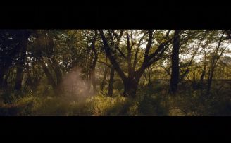 2022季中冠军赛对抗赛第一日宣传片