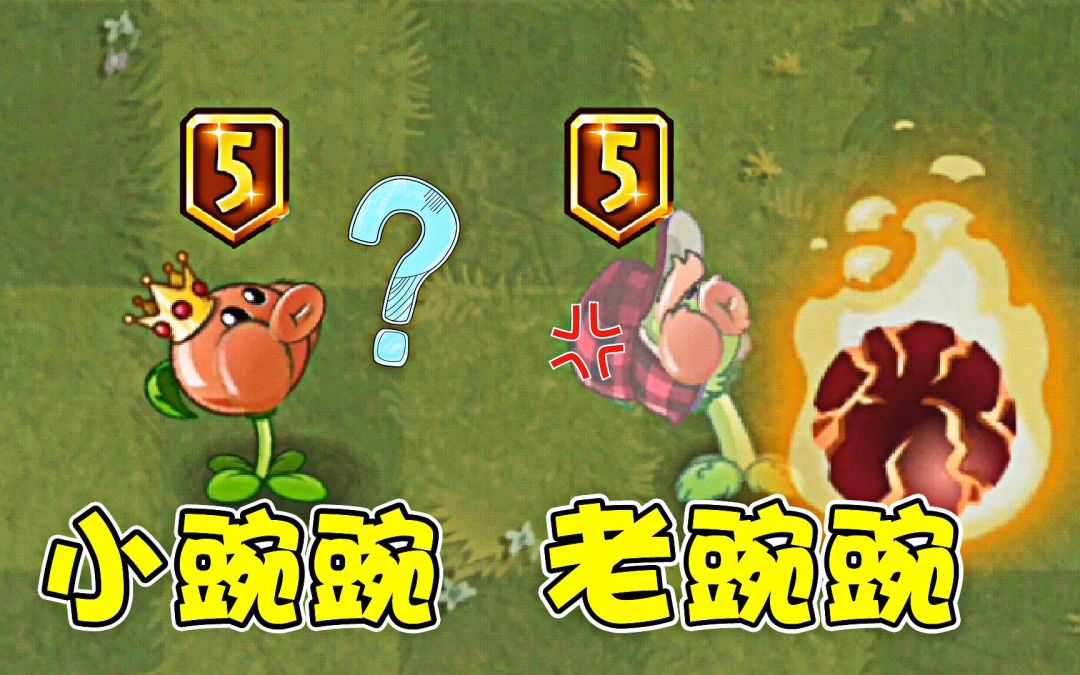 video-2352937