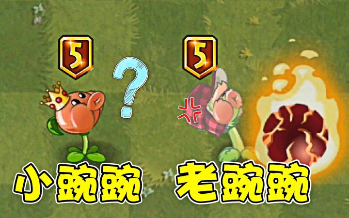 植物大战僵尸，一小一老的豌豆，是如何逆袭的？截图