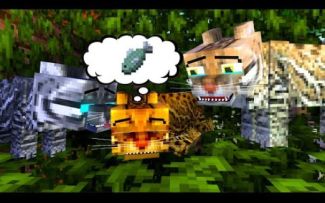 Poor Hungry cat life丨我的世界动画