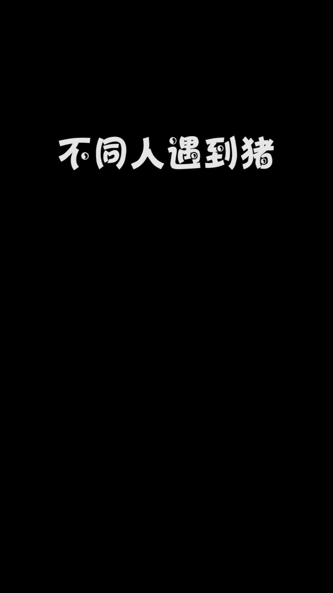 video-2132504