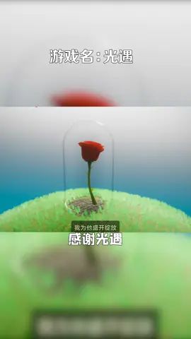 ##光遇 ##光遇牵手小王子 ##创作热爱者计划 感谢光遇到,让我感到很温暖截图