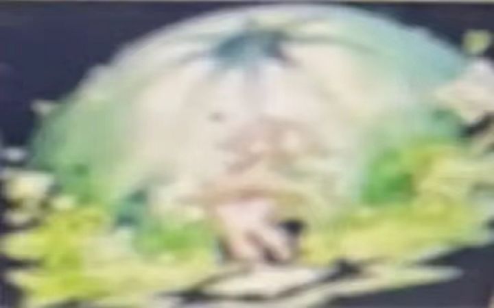 草神实机立绘来了!冰系角色莱依拉爆料!草神技能透露!截图