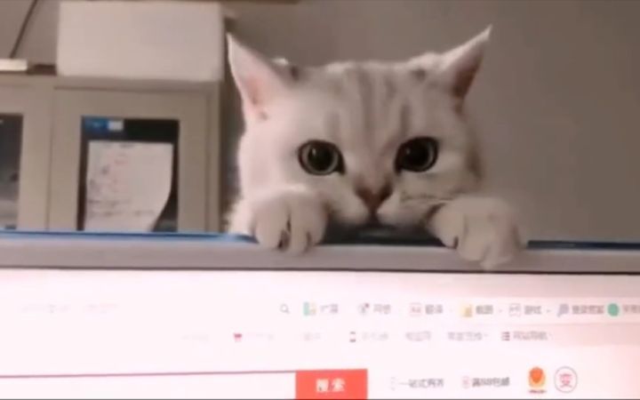 孩子学习不好的原因总算找到了!截图