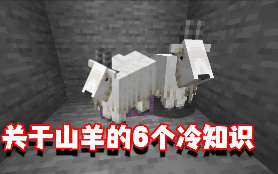 我的世界冷知识：关于山羊6个你不一定知道的冷知识截图