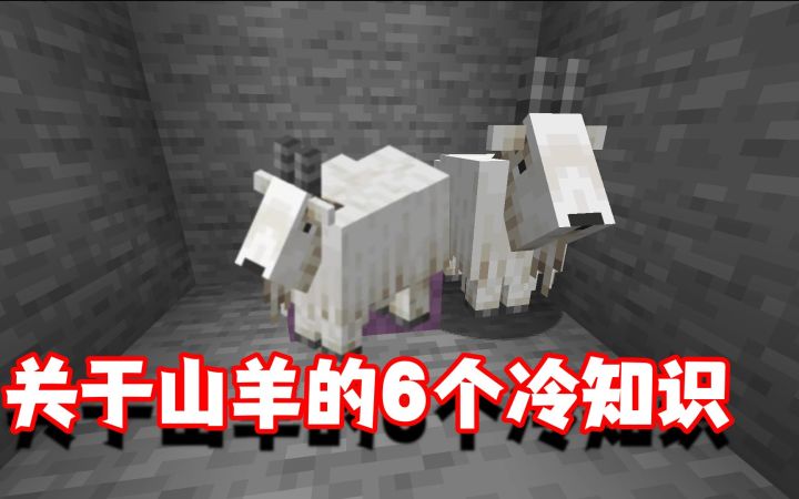 我的世界冷知识:关于山羊6个你不一定知道的冷知识截图