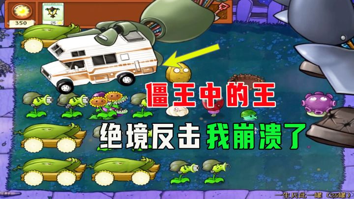 植物大战僵尸:一生只此一罐(25罐)完结,这操作是僵王中的王截图