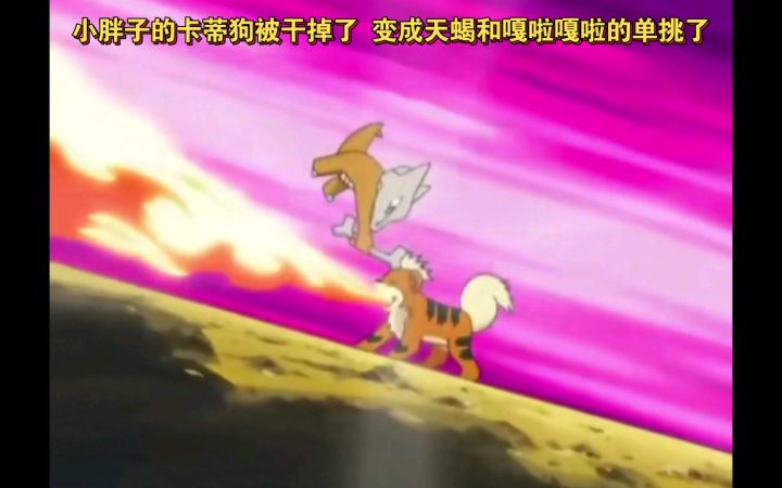 精灵宝可梦 小胖子的卡蒂狗被干掉了 变成天蝎和嘎啦嘎啦的单挑了截图