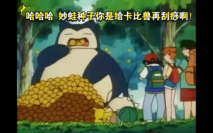 精灵宝可梦 哈哈哈 妙蛙种子你是给卡比兽再刮痧啊!截图