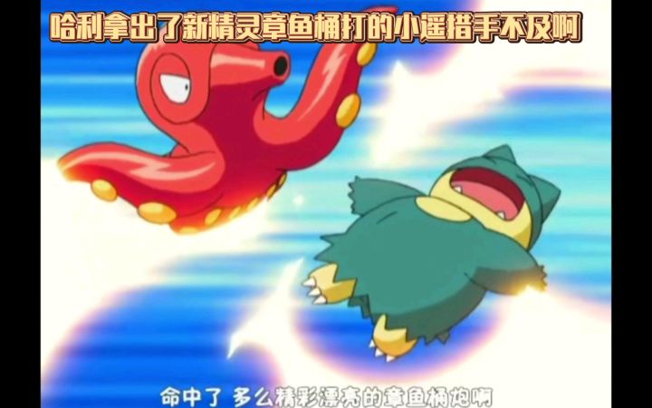 精灵宝可梦 哈利拿出了新精灵章鱼桶打的小遥措手不及啊截图
