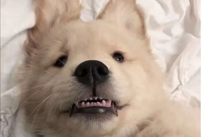 用炸弹填满整个世界哈哈哈哈哈哈哈哈哈哈哈哈哈不是原创也不知道原创叫啥哈哈哈哈哈哈截图