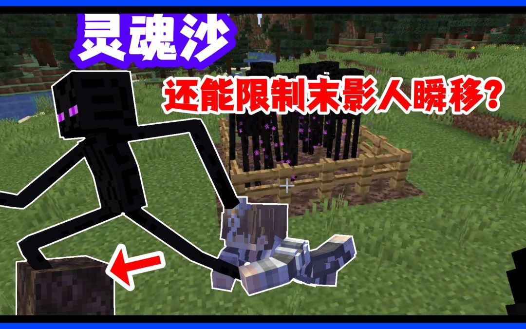 我的世界冷知识，这期视频我应该没有口误了吧截图