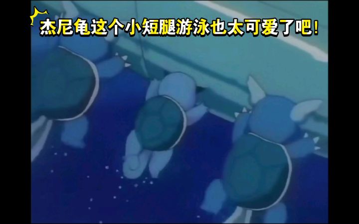 精灵宝可梦 杰尼龟这个小短腿游泳也太可爱了吧截图