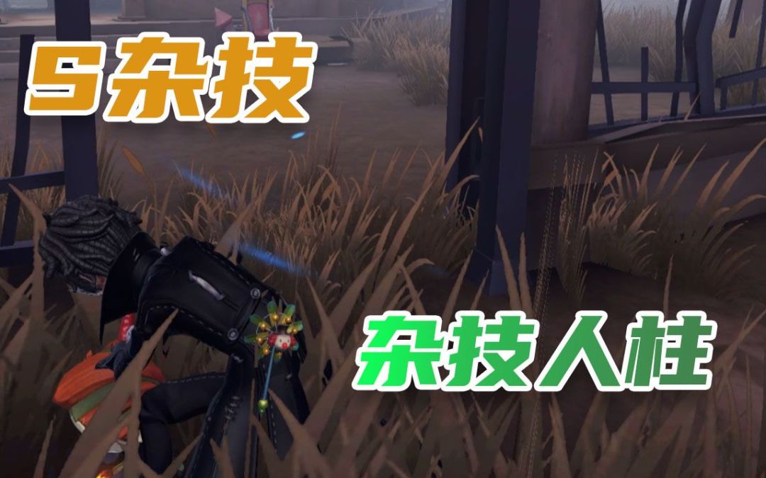 video-2323249