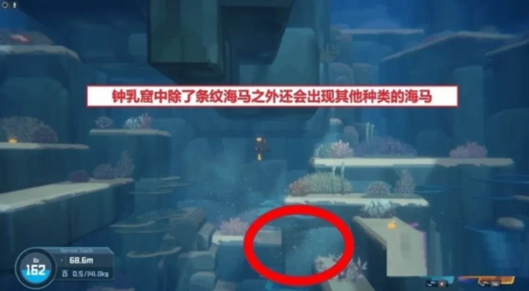《潜水员戴夫》海马位置汇总 全海马图鉴 3